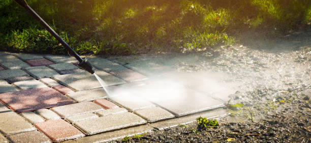 Best Driveway Pressure Washing  in Lackawanna, NY